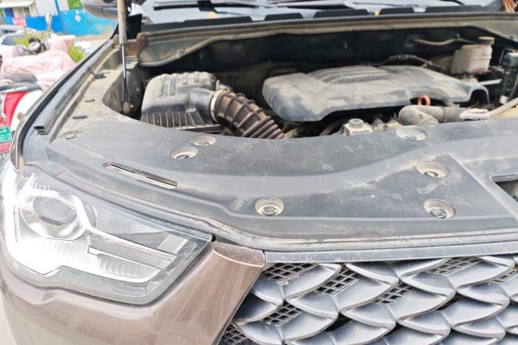 Used Great Wall Poer 2019 2.0T Commercial Version Manual Gasoline 4x4 Elite Long-Box GW4C20B Right Front Headlight