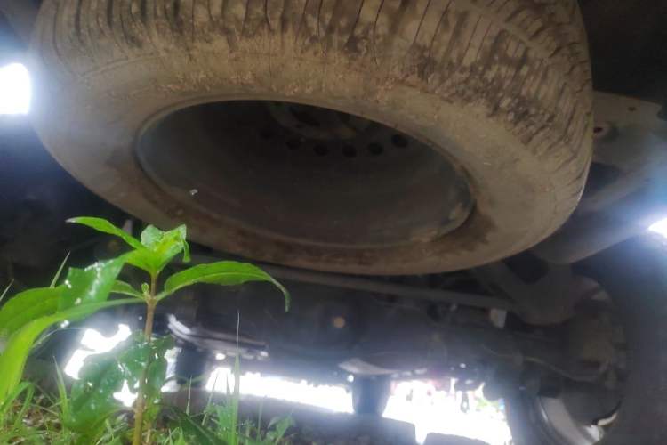 Used Great Wall Poer 2019 2.0T Automatic Gasoline 4x4 Sport Edition GW4C20B Chassis Rear