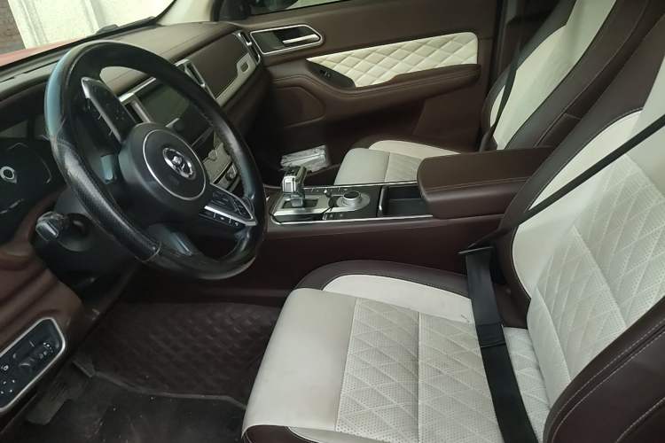 Used Great Wall Poer 2019 2.0T Automatic Gasoline 4x4 Premium Edition GW4C20B Left Front Seat