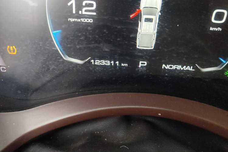 Used Great Wall Poer 2019 2.0T Automatic Gasoline 4x4 Premium Edition GW4C20B Odometer Close Up