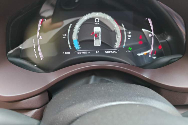 Used Great Wall Poer 2019 2.0T Automatic Gasoline 4x4 Premium Edition GW4C20B Odometer Close Up