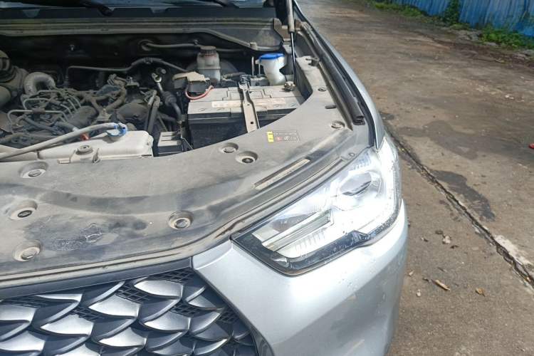 Used Great Wall Poer 2019 2.0T Commercial Version Manual Diesel Two-Wheel Drive Elite Long-Box GW4D20M Engine Bay Left