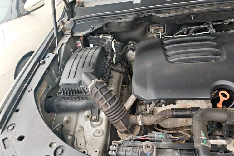 Used Great Wall Poer 2019 2.0T Automatic Gasoline Two-Wheel Drive Comfort Edition GW4C20B Engine Bay Right