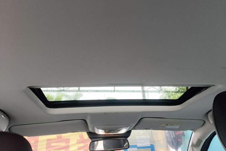 Used Great Wall Poer 2019 2.0T Automatic Gasoline 4x4 Comfort Edition GW4C20B Headliner