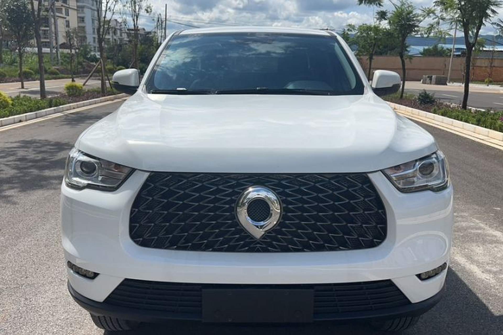 Used Great Wall Poer 2019 2.0T Commercial Version Manual Diesel 4x4 Elite Long-Box GW4D20M Exterior 1