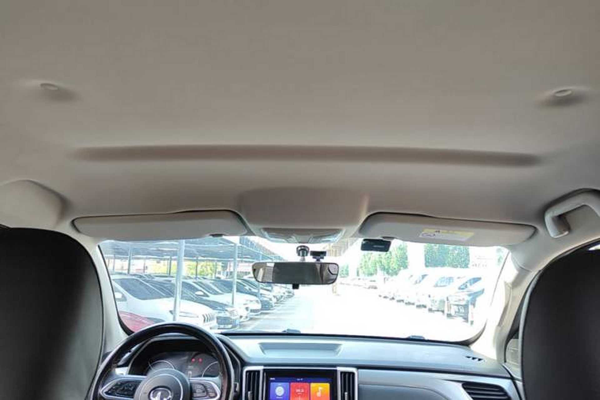 Used Great Wall Poer 2019 2.0T Commercial Version Manual Diesel Two-Wheel Drive Elite Long-Box GW4D20M Headliner