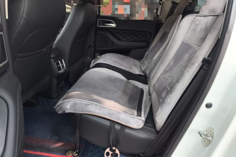 Used Great Wall Poer 2019 2.0T Automatic Gasoline Two-Wheel Drive Comfort Edition GW4C20B Left Rear Seat