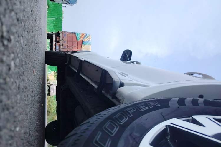 Used Great Wall Poer 2019 2.0T Automatic Gasoline 4x4 Comfort Edition GW4C20B Left Side Sill