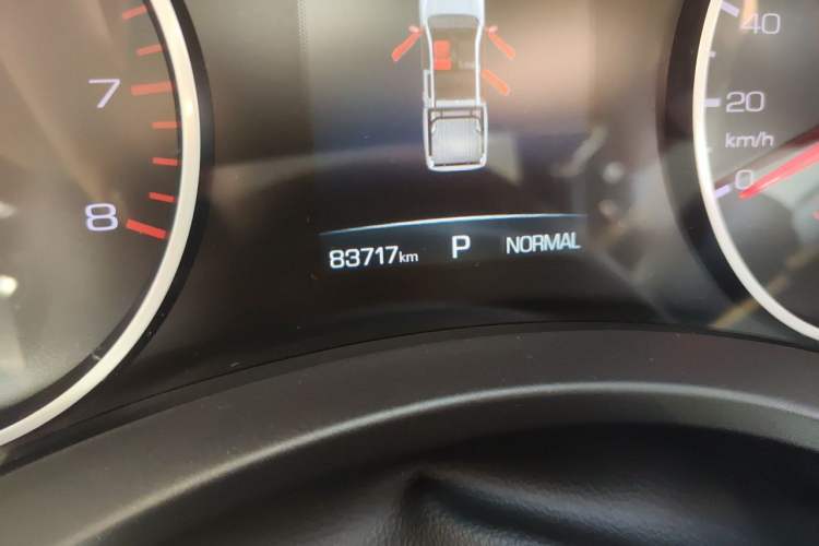 Used Great Wall Poer 2019 2.0T Commercial Version Automatic Gasoline Two-Wheel Drive Elite Trim with Long Bed – GW4C20B Odometer Close Up