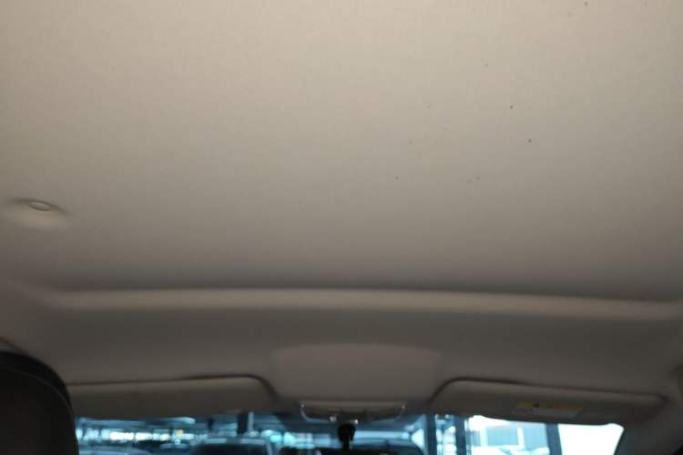 Used Great Wall Poer 2020 2.0T Commercial Version Automatic Diesel Two-Wheel Drive Elite Trim with Long Bed – GW4D20M Headliner