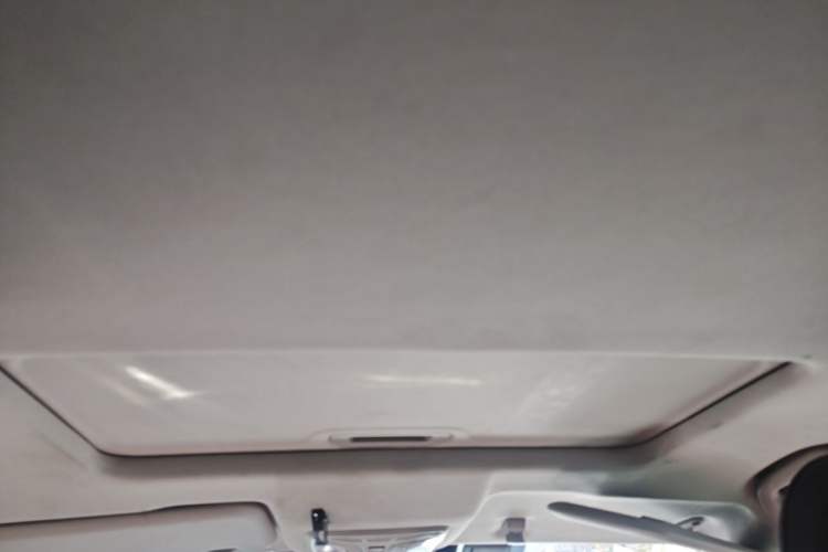 Used Great Wall Poer 2020 2.0T Off-Road Version Automatic Gasoline Four-Wheel Drive High-End Edition GW4C20B Headliner