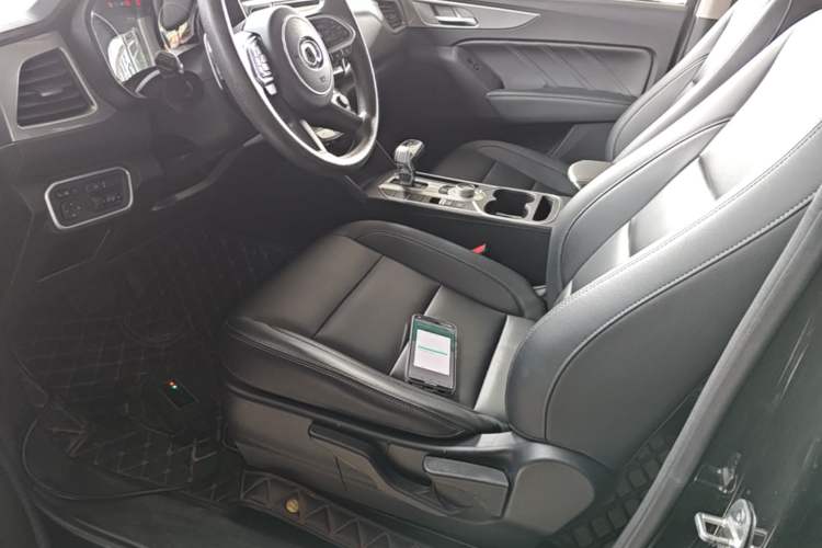 Used Great Wall Poer 2020 2.0T Commercial Version Automatic Diesel 4x4 Elite Long-Box GW4D20M Left Front Seat