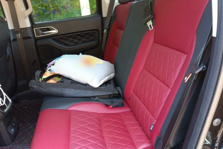 Used Great Wall Poer 2020 2.0T Off-Road Edition Automatic Gasoline 4x4 Limited Edition GW4C20B Left Rear Seat