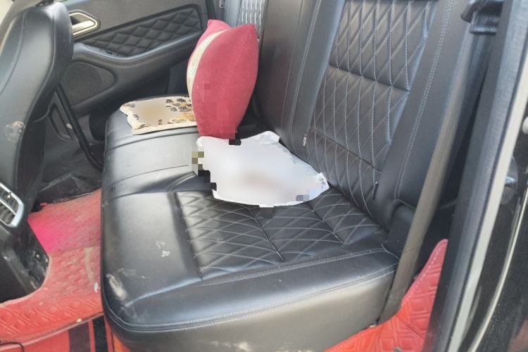 Used Great Wall Poer  Left Rear Seat