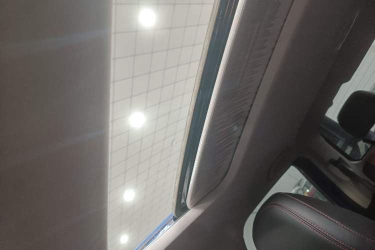 Used Great Wall Poer 2020 2.0T Off-Road Edition Automatic Diesel 4x4 High-End Version GW4D20M Headliner