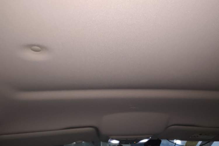 Used Great Wall Poer 2020 2.0T Commercial Version Automatic Diesel Two-Wheel Drive Elite Trim with Long Bed – GW4D20M Headliner
