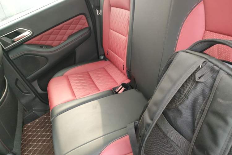 Used Great Wall Poer 2020 2.0T Off-Road Edition Automatic Diesel 4x4 High-End Version GW4D20M Left Rear Seat