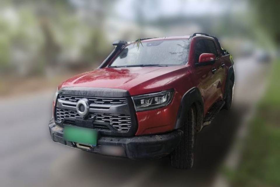 Great Wall Poer 2020