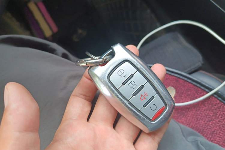 Used Great Wall Poer 2020 2.0T Off-Road Edition Automatic Gasoline 4x4 Advanced Version GW4C20B Vehicle Key