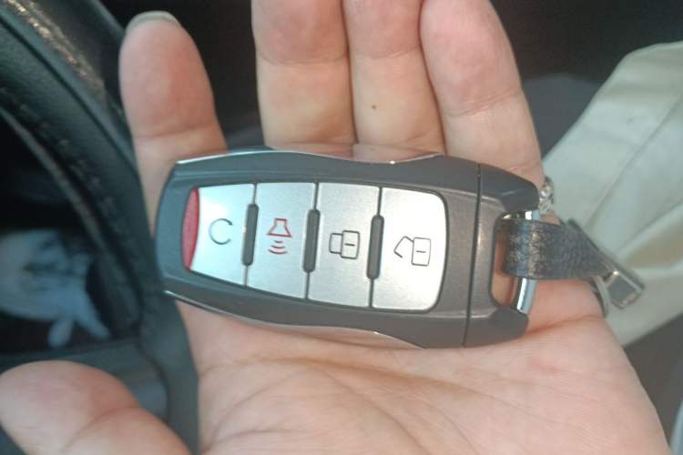Used Great Wall Poer 2020 2.0T Off-Road Edition Automatic Gasoline 4x4 Limited Edition GW4C20B Vehicle Key