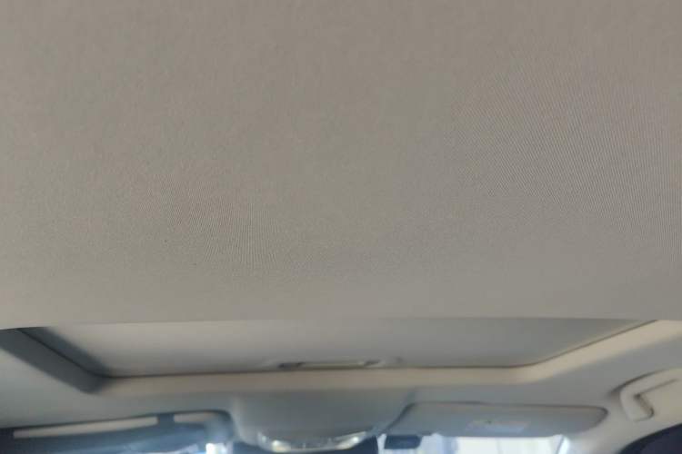 Used Great Wall Poer 2021 2.0T Commercial Version Automatic Diesel Two-Wheel Drive Navigation Type Long Bed – GW4D20M Headliner