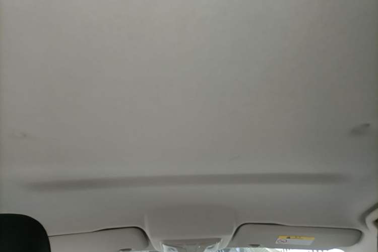 Used Great Wall Poer 2021 2.0T Commercial Version Automatic Diesel Two-Wheel Drive Elite Trim with Long Bed – GW4D20M Headliner