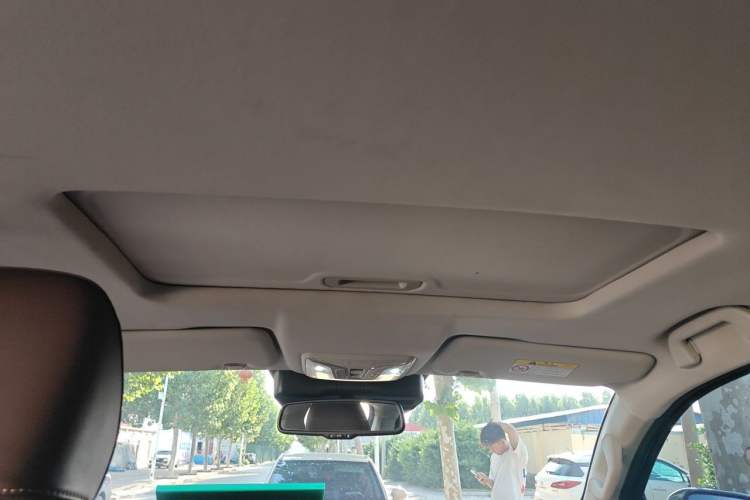 Used Great Wall Poer 2021 2.0T Global Version Automatic Diesel 4x4 Prestige Standard Cab GW4D20M Headliner