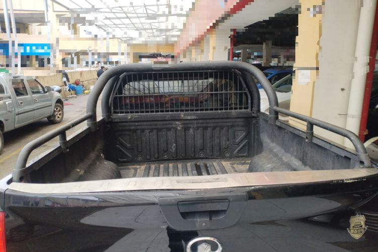 Used Great Wall Poer 2021 2.0T Commercial Version Manual Diesel 4x4 Elite Long-Box GW4D20M Trunk