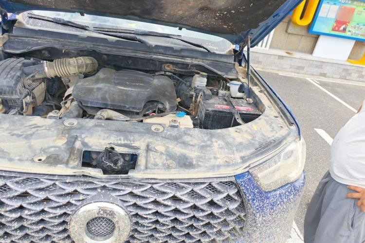 Used Great Wall Poer 2021 2.0T Commercial Version Manual Diesel Two-Wheel Drive Elite Long-Box GW4D20M Engine Bay Left