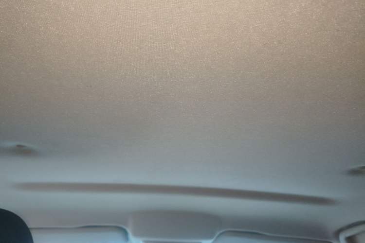 Used Great Wall Poer 2021 2.0T Commercial Version Automatic Diesel 4x4 Elite Long-Box GW4D20M Headliner