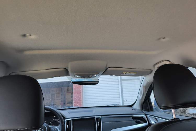 Used Great Wall Poer 2021 2.0T Commercial Version Manual Diesel Two-Wheel Drive Elite Long-Box GW4D20M Headliner