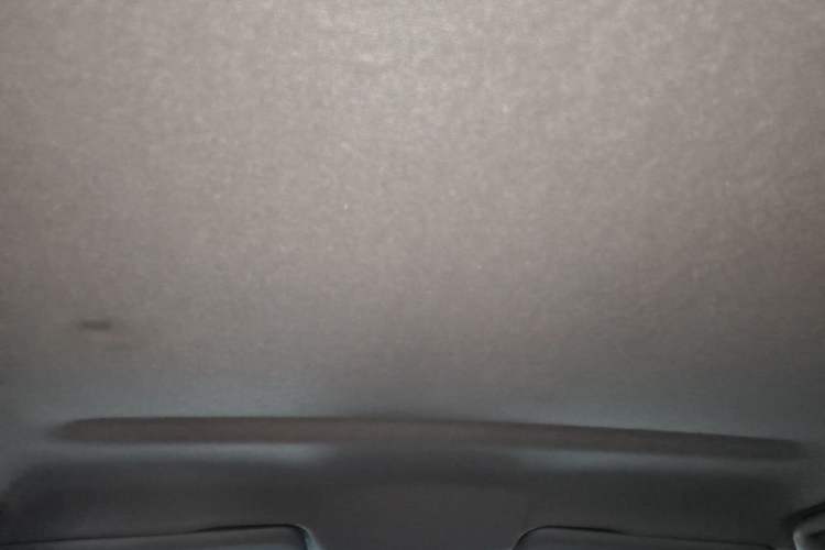 Used Great Wall Poer 2021 2.0T Commercial Version Manual Diesel 4x4 Elite Long-Box GW4D20M Headliner