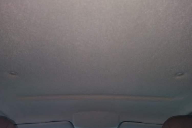 Used Great Wall Poer 2021 2.0T Commercial Version Automatic Diesel 4x4 Elite Long-Box GW4D20M Headliner