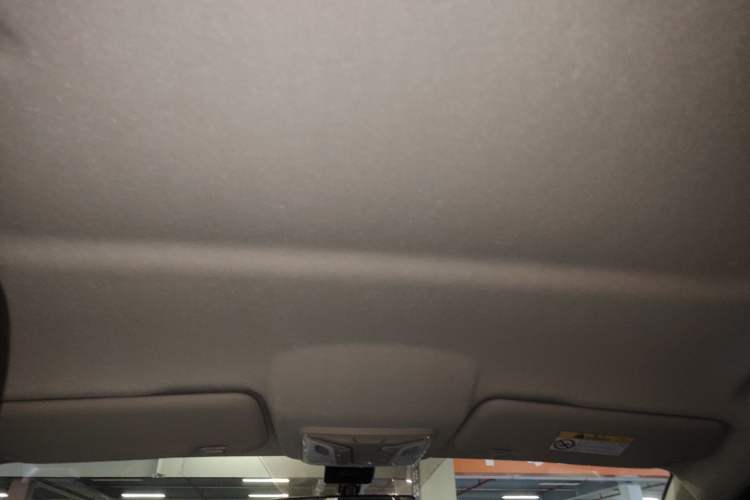 Used Great Wall Poer 2021 2.0T Commercial Version Automatic Diesel Two-Wheel Drive Elite Trim with Long Bed – GW4D20M Headliner