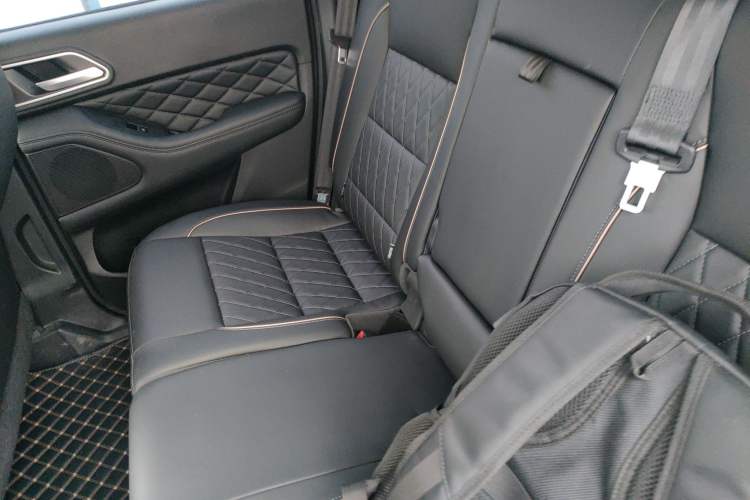 Used Great Wall Poer 2021 2.0T Global Version Automatic Diesel 4x4 Comfort Trim Standard Box GW4D20M Left Rear Seat