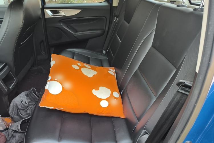 Used Great Wall Poer 2021 2.0T Commercial Version Manual Diesel Two-Wheel Drive Elite Long-Box GW4D20M Left Rear Seat