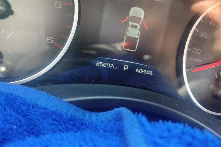 Used Great Wall Poer 2021 2.0T Global Version Automatic Diesel 4x4 Comfort Trim Standard Box GW4D20M Odometer Close Up