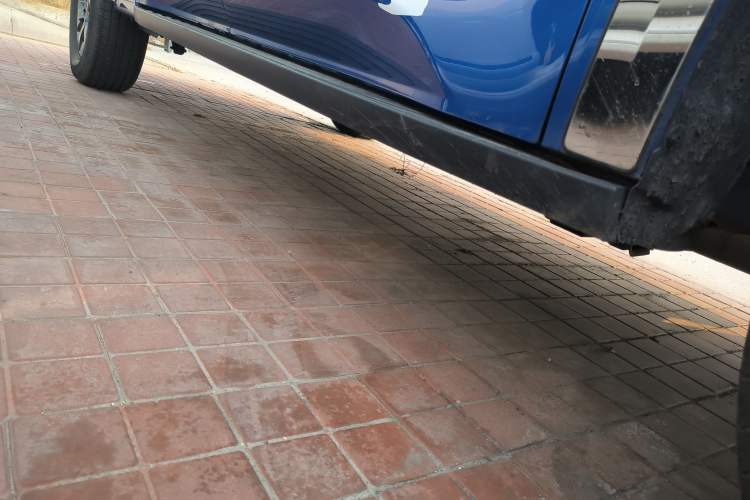 Used Great Wall Poer 2021 2.0T Commercial Version Automatic Diesel 4x4 Elite Long-Box GW4D20M Right Side Sill