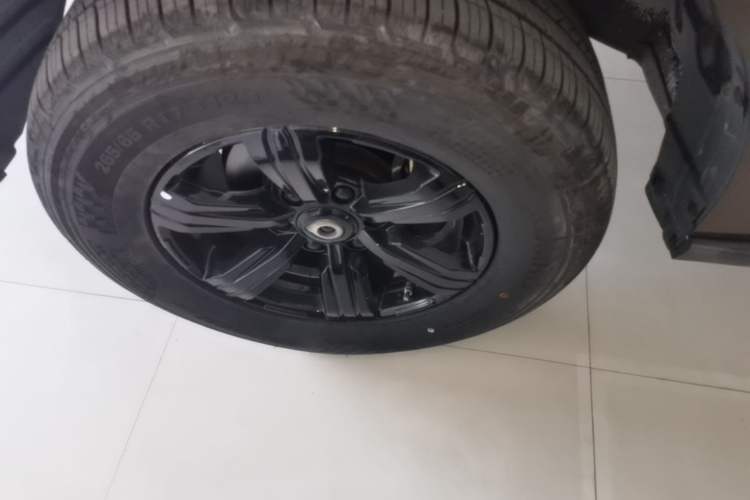 Used Great Wall Poer 2021 2.0T Commercial Version Automatic Diesel Two-Wheel Drive Elite Trim with Long Bed – GW4D20M Exterior 4