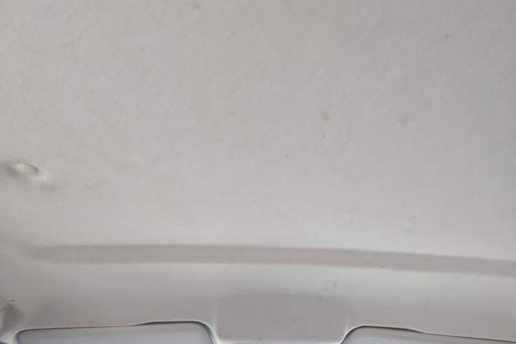Used Great Wall Poer 2021 2.0T Commercial Version Manual Diesel 4x4 Elite Long-Box GW4D20M Headliner