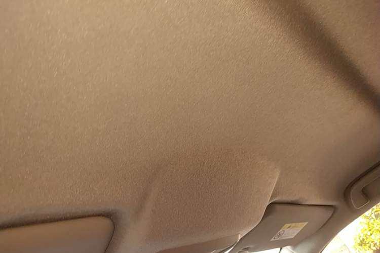 Used Great Wall Poer 2021 2.0T Commercial Version Automatic Diesel Two-Wheel Drive Elite Trim with Long Bed – GW4D20M Headliner