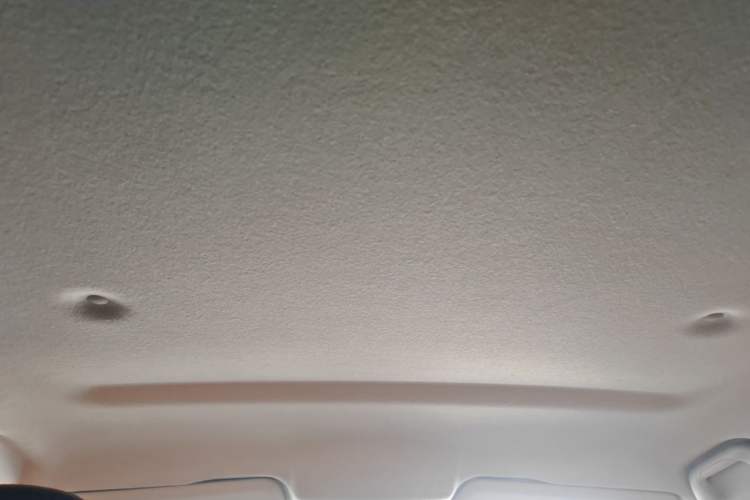 Used Great Wall Poer 2021 2.0T Commercial Version Automatic Diesel 4x4 Elite Long-Box GW4D20M Headliner