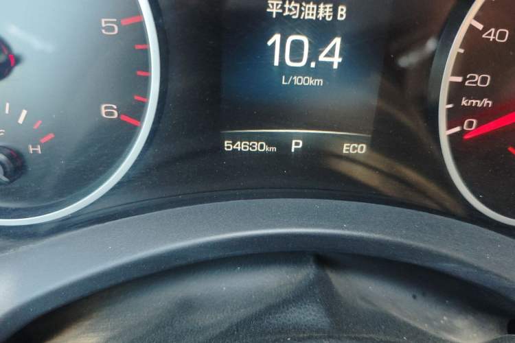 Used Great Wall Poer 2021 2.0T Commercial Version Automatic Diesel Two-Wheel Drive Elite Trim with Long Bed – GW4D20M Odometer Close Up