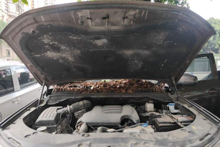 Used Great Wall Poer 2021 2.0T Commercial Version Automatic Diesel 4x4 Elite Long-Box GW4D20M Engine Bay