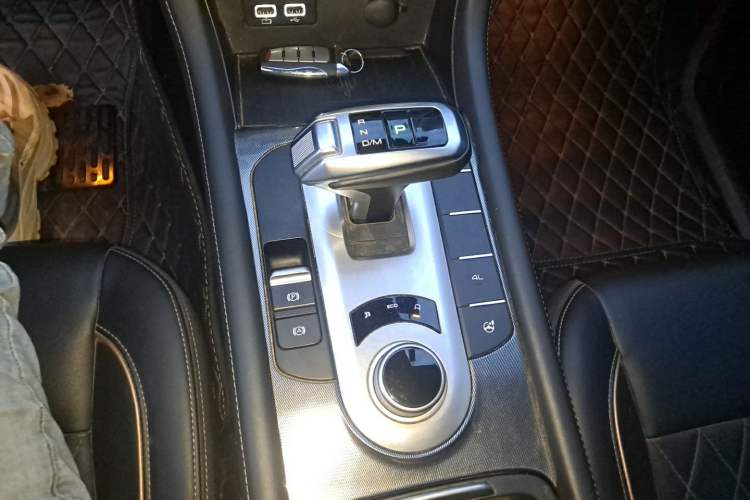 Used Great Wall Poer 2021 2.0T Global Version Automatic Diesel 4x4 Comfort Trim Standard Box GW4D20M Gear Lever