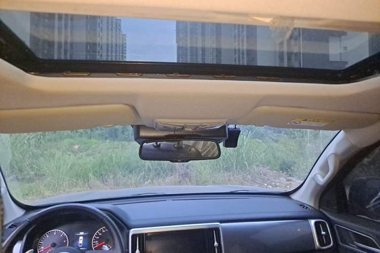 Used Great Wall Poer 2021 2.0T Global Version Automatic Diesel 4x4 Comfort Trim Standard Box GW4D20M Headliner