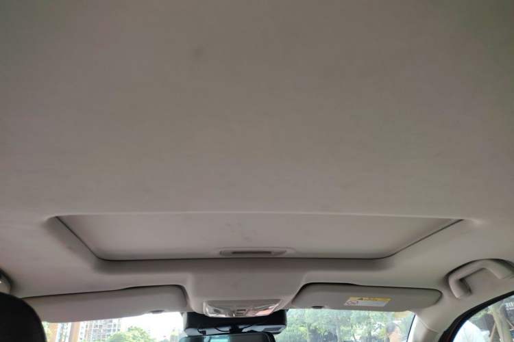 Used Great Wall Poer 2021 2.0T Global Version Automatic Gasoline 4x4 Sporty Standard-Box GW4C20B Headliner