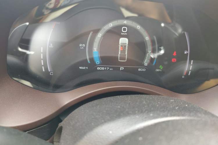 Used Great Wall Poer 2021 2.0T Global Version Automatic Gasoline 4x4 Sporty Standard-Box GW4C20B Odometer Close Up