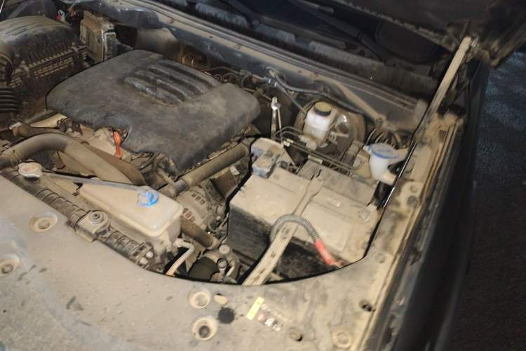 Used Great Wall Poer 2021 2.0T Off-Road Edition Automatic Gasoline 4x4 Mount Everest Version GW4C20B Engine Bay Left
