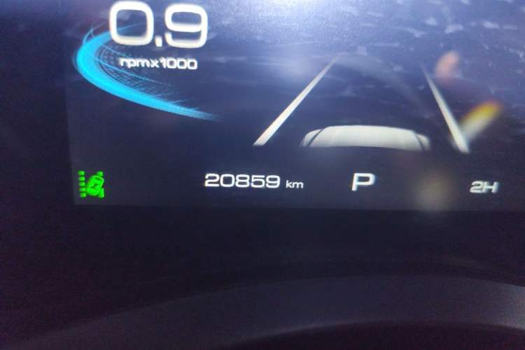 Used Great Wall Poer 2021 2.0T Off-Road Edition Automatic Gasoline 4x4 Mount Everest Version GW4C20B Odometer Close Up